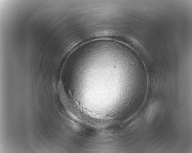 X0000063451217200601231343