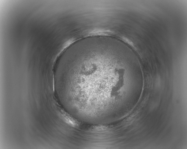 X0000063451219200601231343