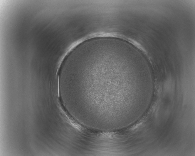 X0000063451223200601231343