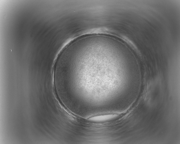 X0000063451224200601231343