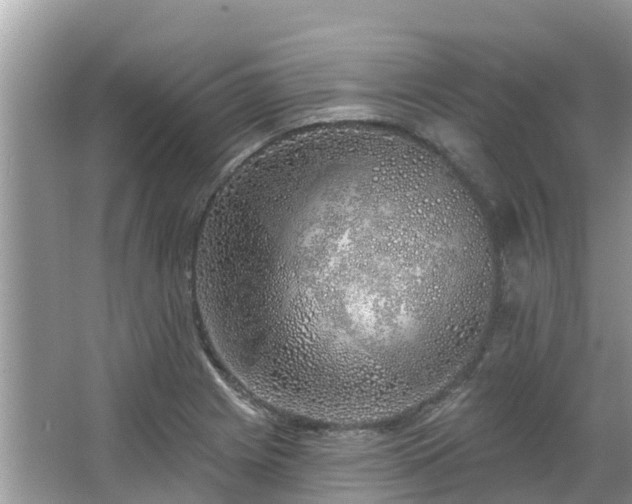 X0000063451225200601231343