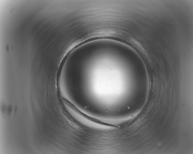 X0000063451226200601231343