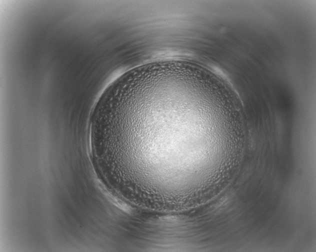 X0000063451227200601231343