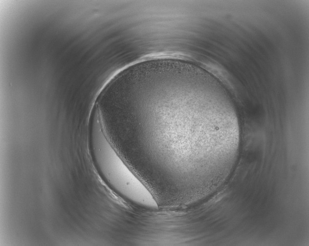 X0000063451228200601231343