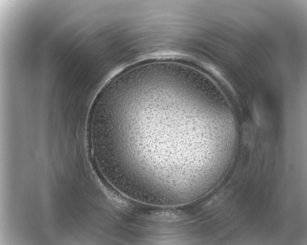 X0000063451229200601231343