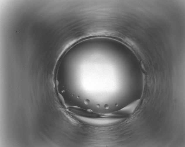 X0000063451230200601231343