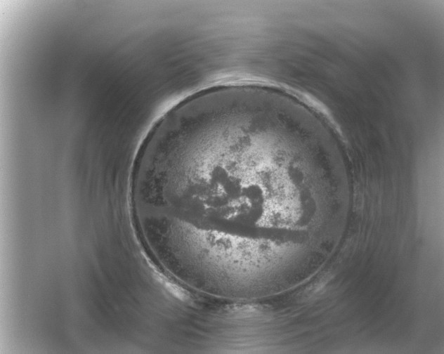 X0000063451231200601231343