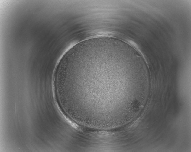 X0000063451235200601231343