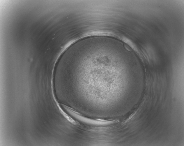 X0000063451237200601231343