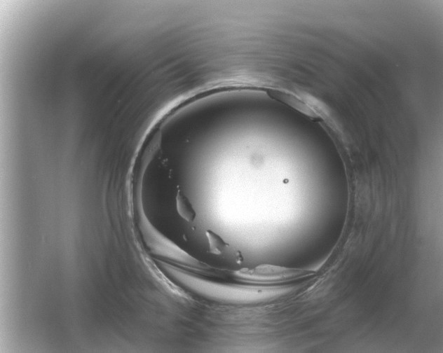 X0000063451238200601231343