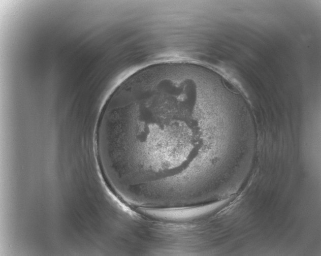 X0000063451239200601231343