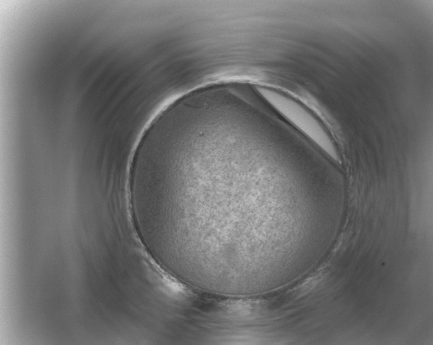 X0000063451240200601231343