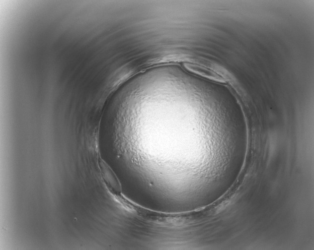 X0000063451241200601231343