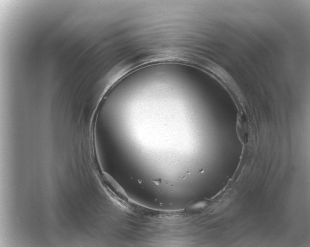 X0000063451242200601231343