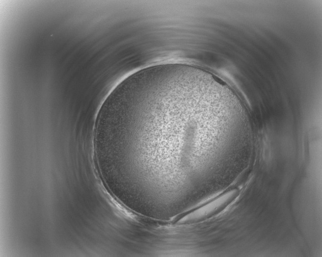 X0000063451244200601231344