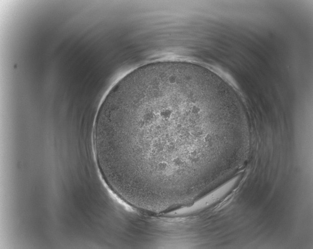 X0000063451247200601231344