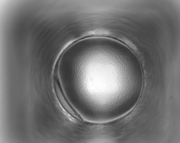 X0000063451248200601231344