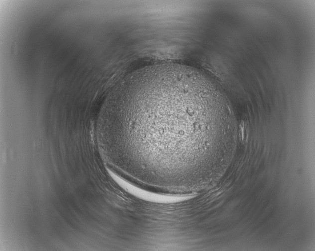 X0000063451251200601231343