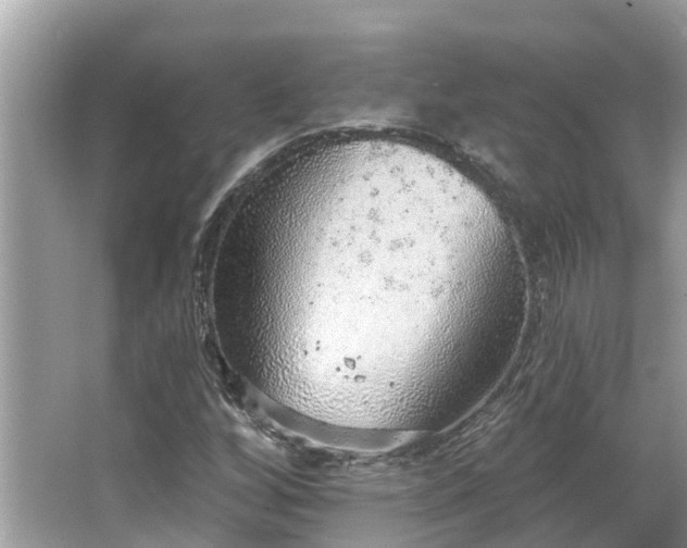 X0000063451256200601231343