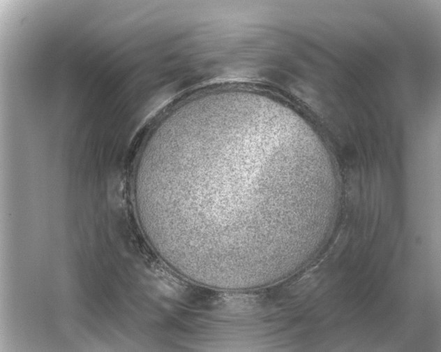 X0000063451258200601231343