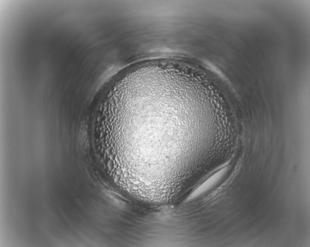 X0000063451259200601231343