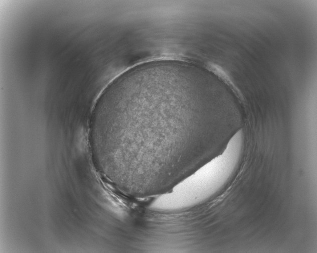 X0000063451260200601231343