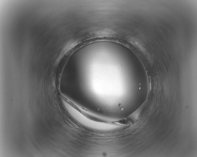 X0000063451261200601231343