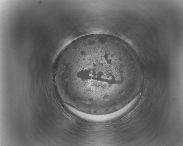 X0000063451263200601231343