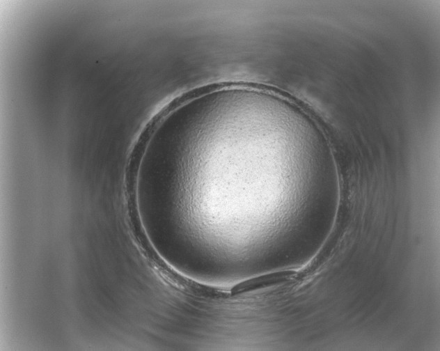 X0000063451264200601231342