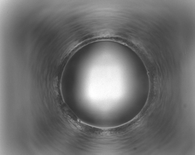 X0000063451265200601231342