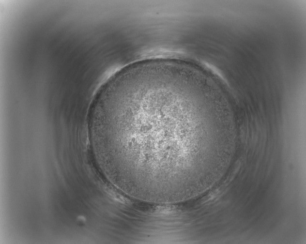 X0000063451267200601231342