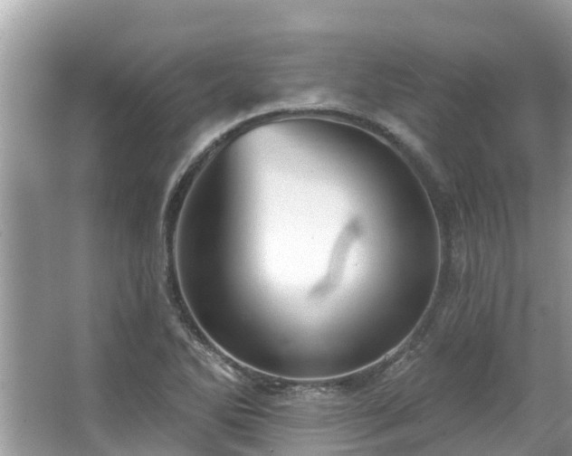 X0000063451270200601231342