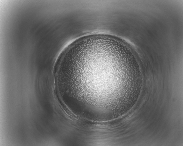 X0000063451271200601231342