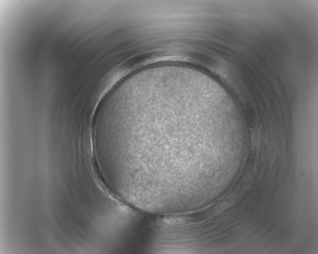 X0000063451274200601231342