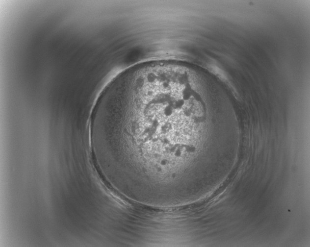 X0000063451275200601231342