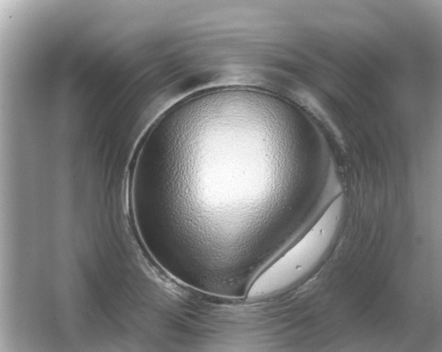 X0000063451276200601231342