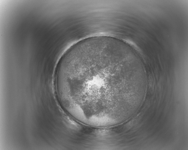 X0000063451278200601231342