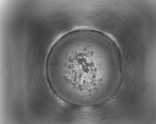 X0000063451279200601231342