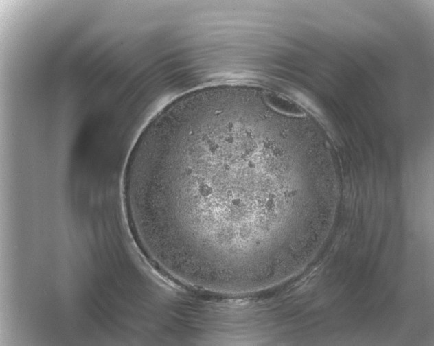 X0000063451283200601231342