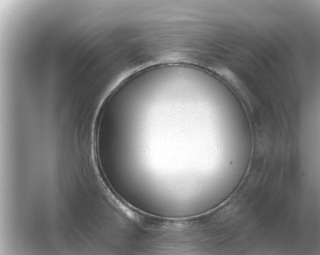 X0000063451286200601231342