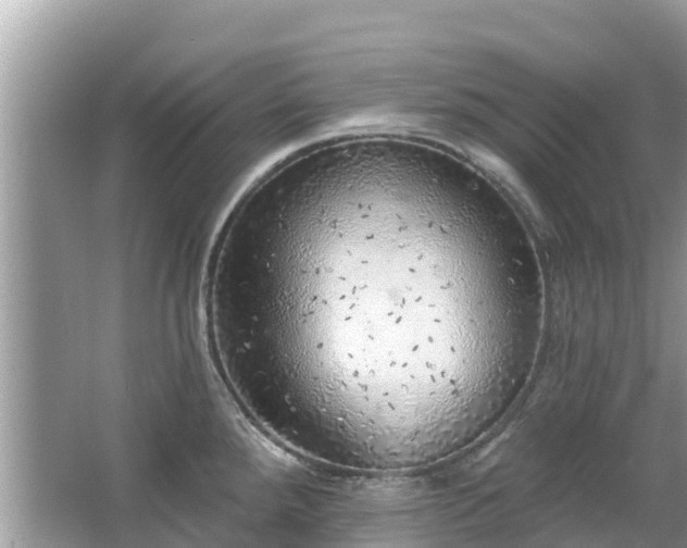 X0000063451288200601231342