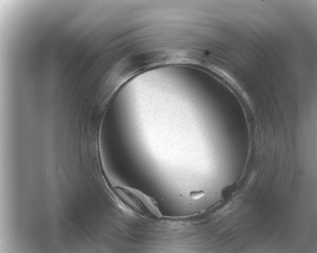 X0000063451289200601231342