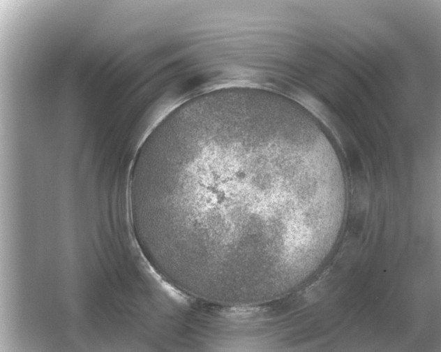 X0000063451290200601231342