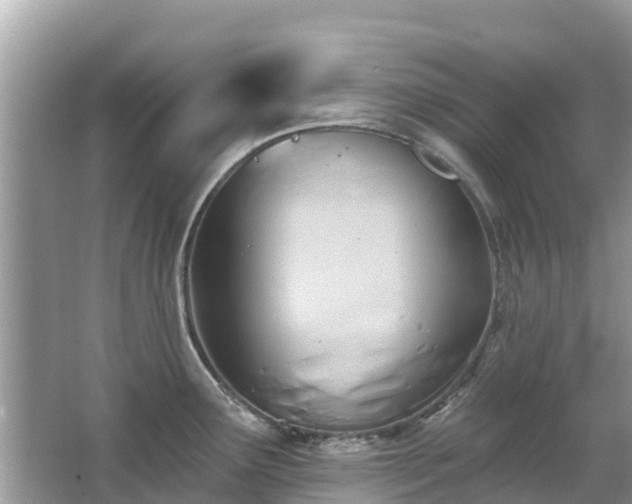 X0000063451291200601231342