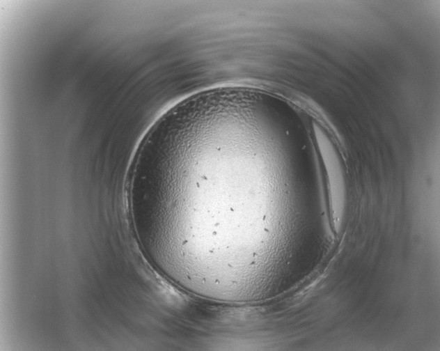 X0000063451292200601231342