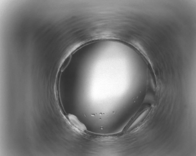 X0000063451293200601231342