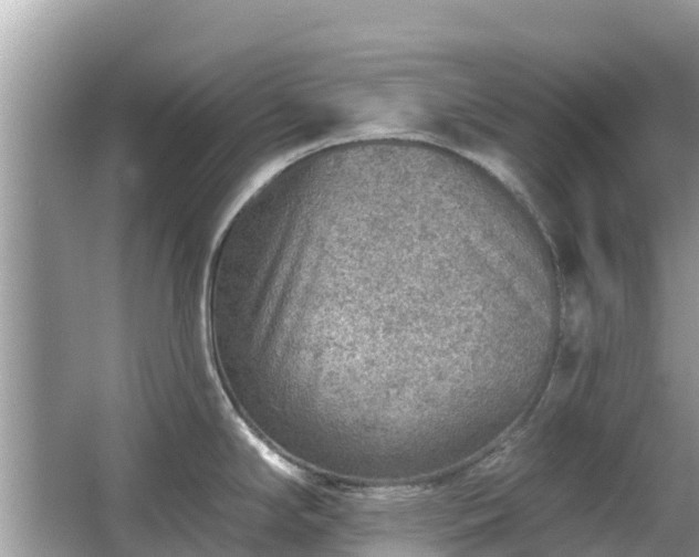 X0000063451294200601231342