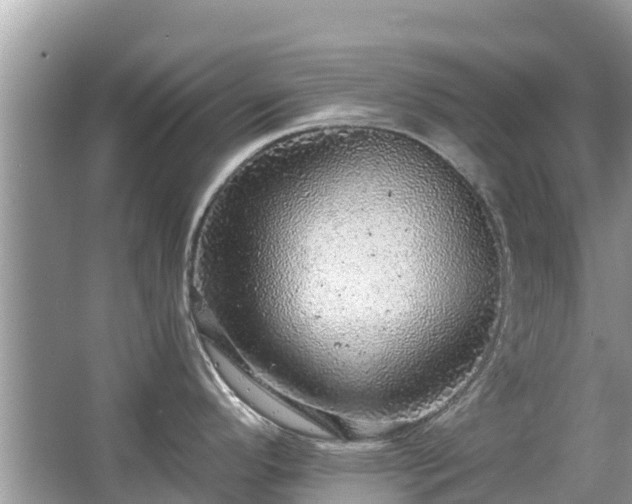 X0000063451296200601231342