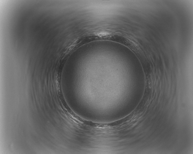 X0000063451298200601231341