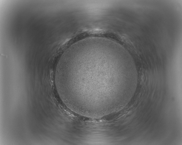 X0000063451301200601231341